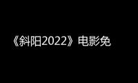《斜阳2022》电影免费观看完整版
